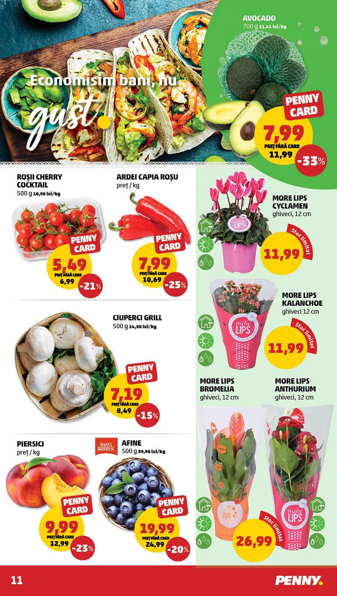 Catalog Penny