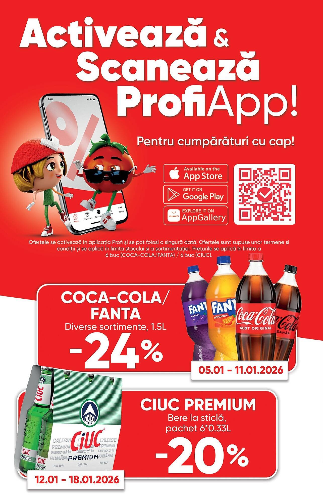 Catalog PROFI
