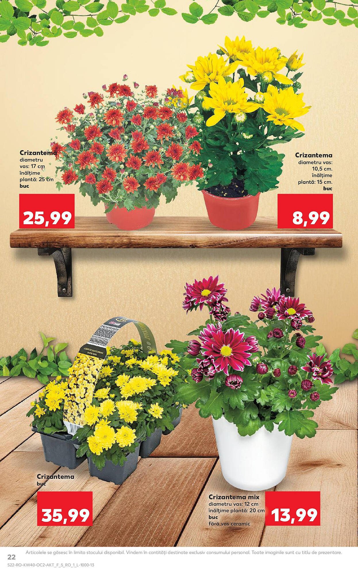 Catalog Kaufland