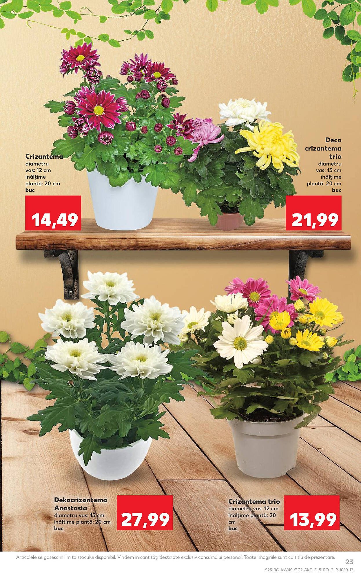 Catalog Kaufland