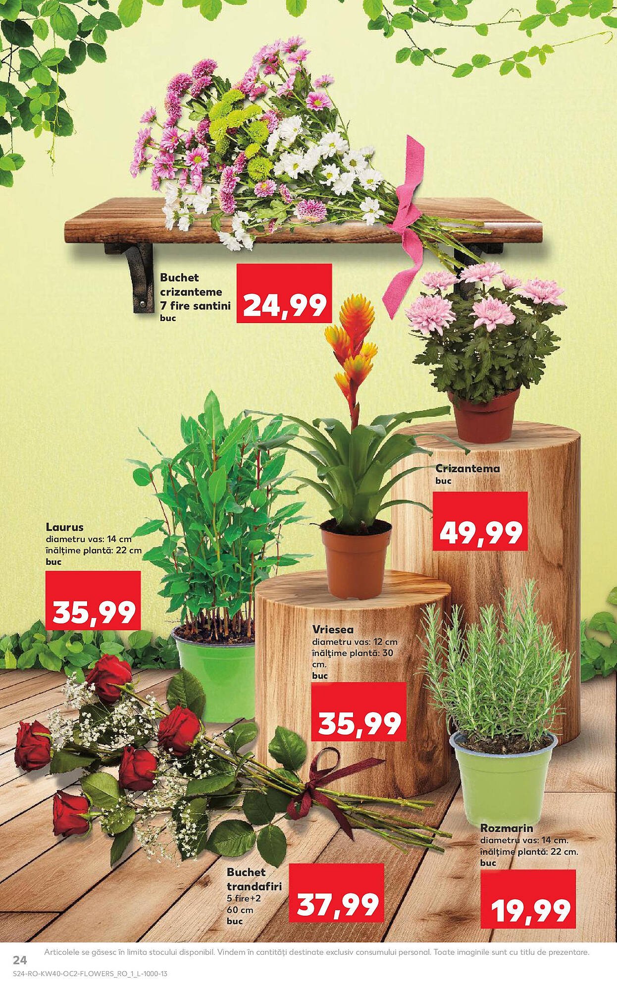 Catalog Kaufland