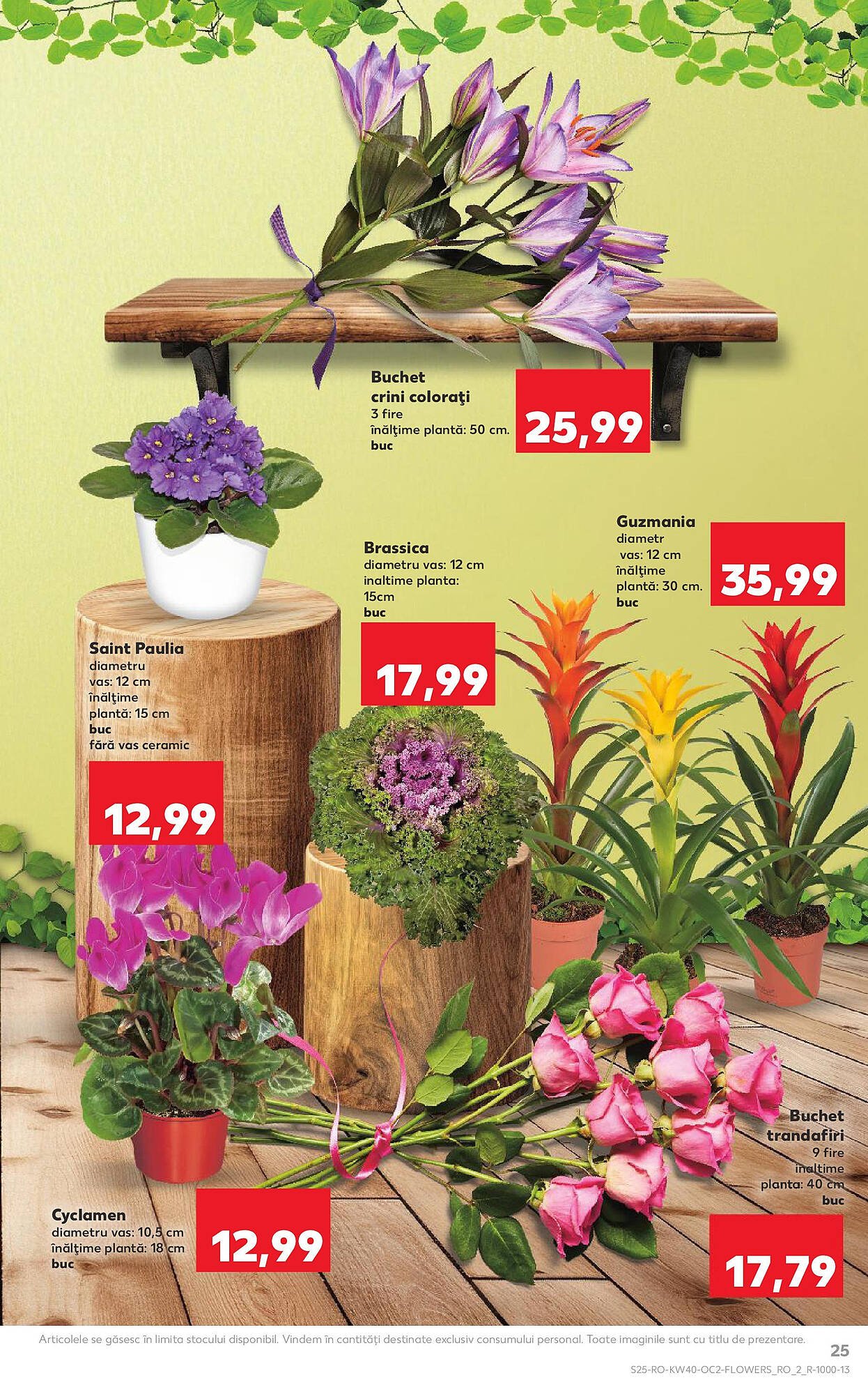 Catalog Kaufland