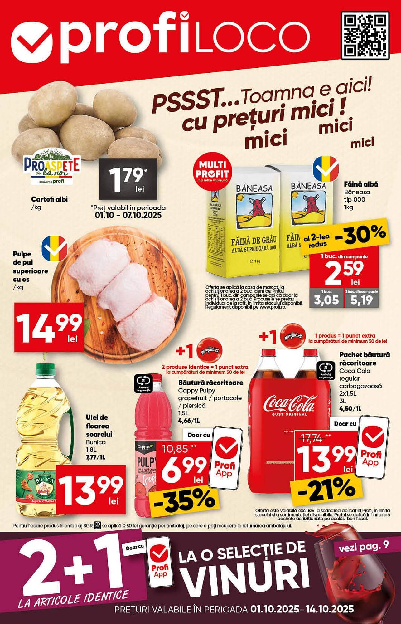 Catalog PROFI