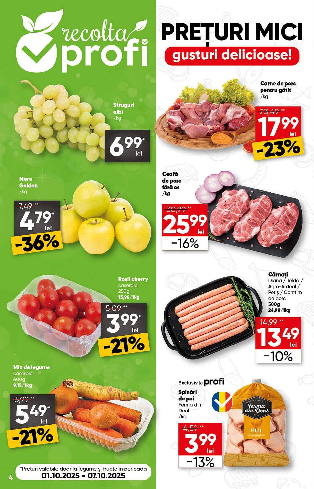 Catalog PROFI