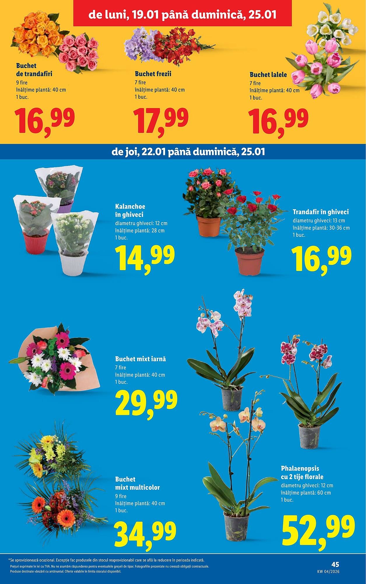 Catalog Lidl