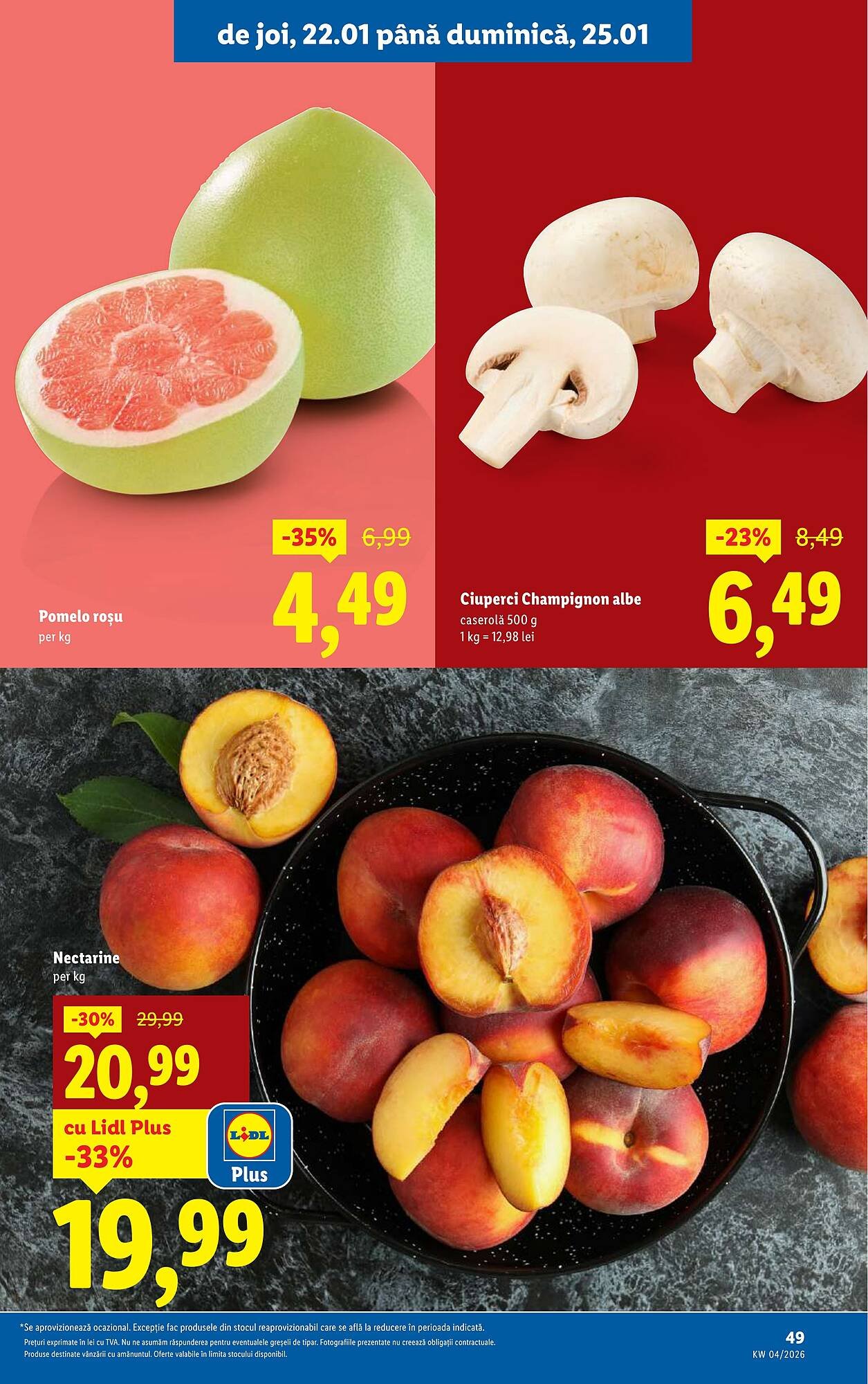 Catalog Lidl