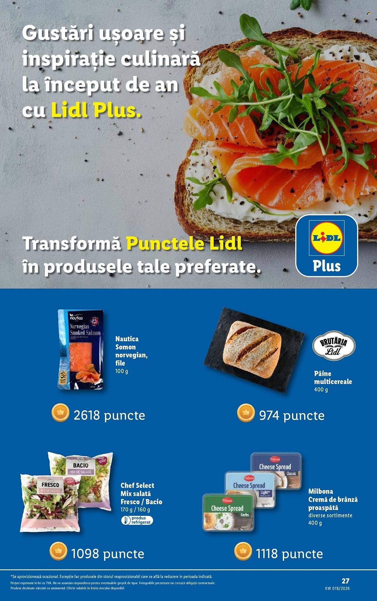 Catalog Lidl