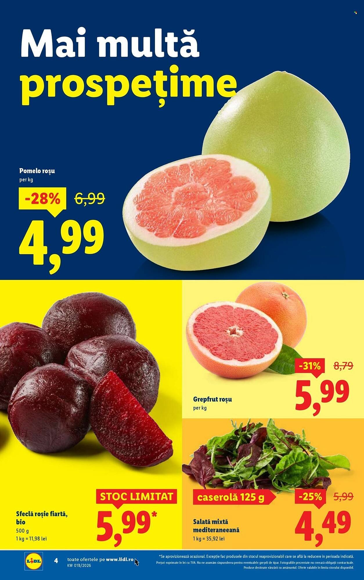 Catalog Lidl
