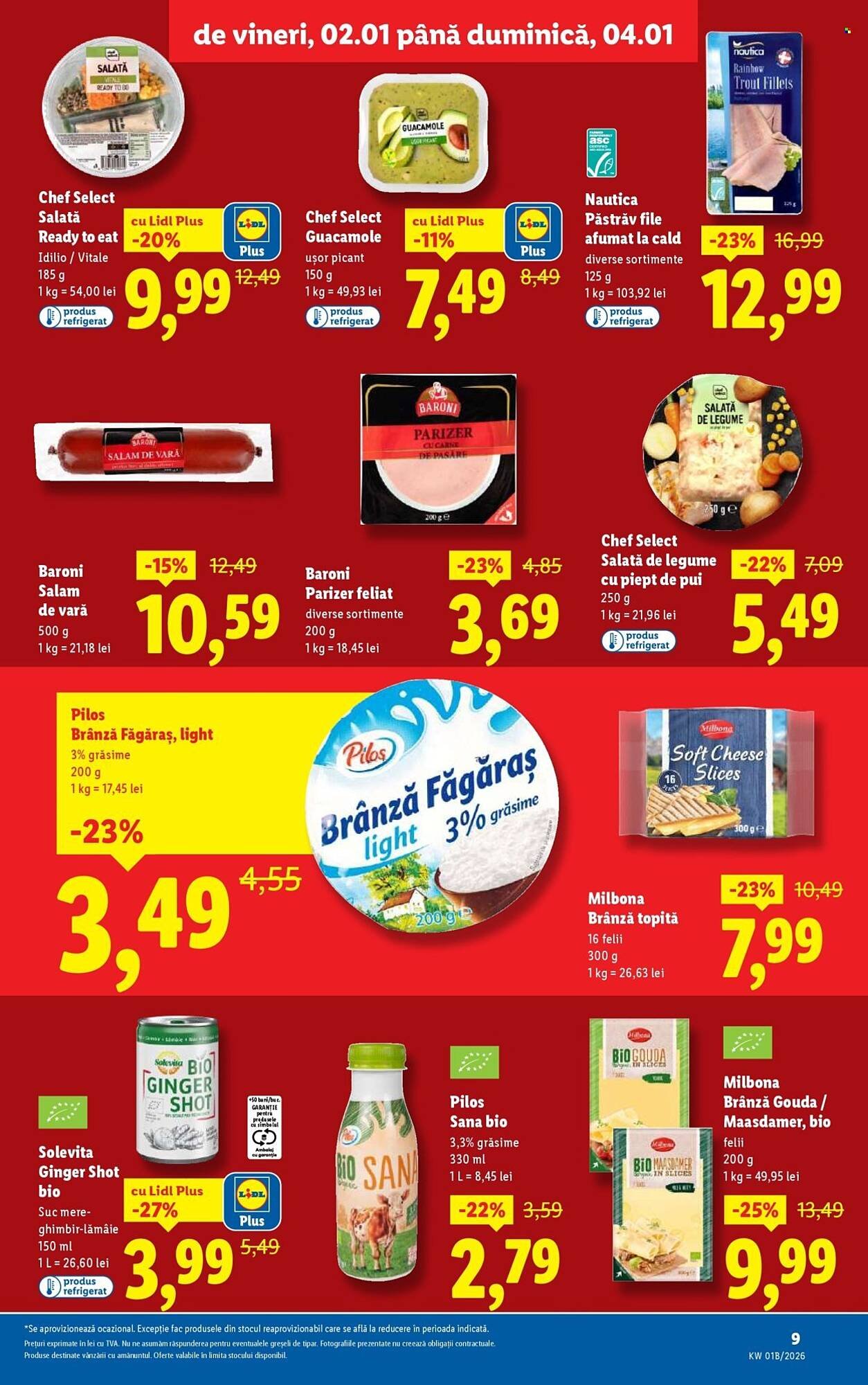 Catalog Lidl