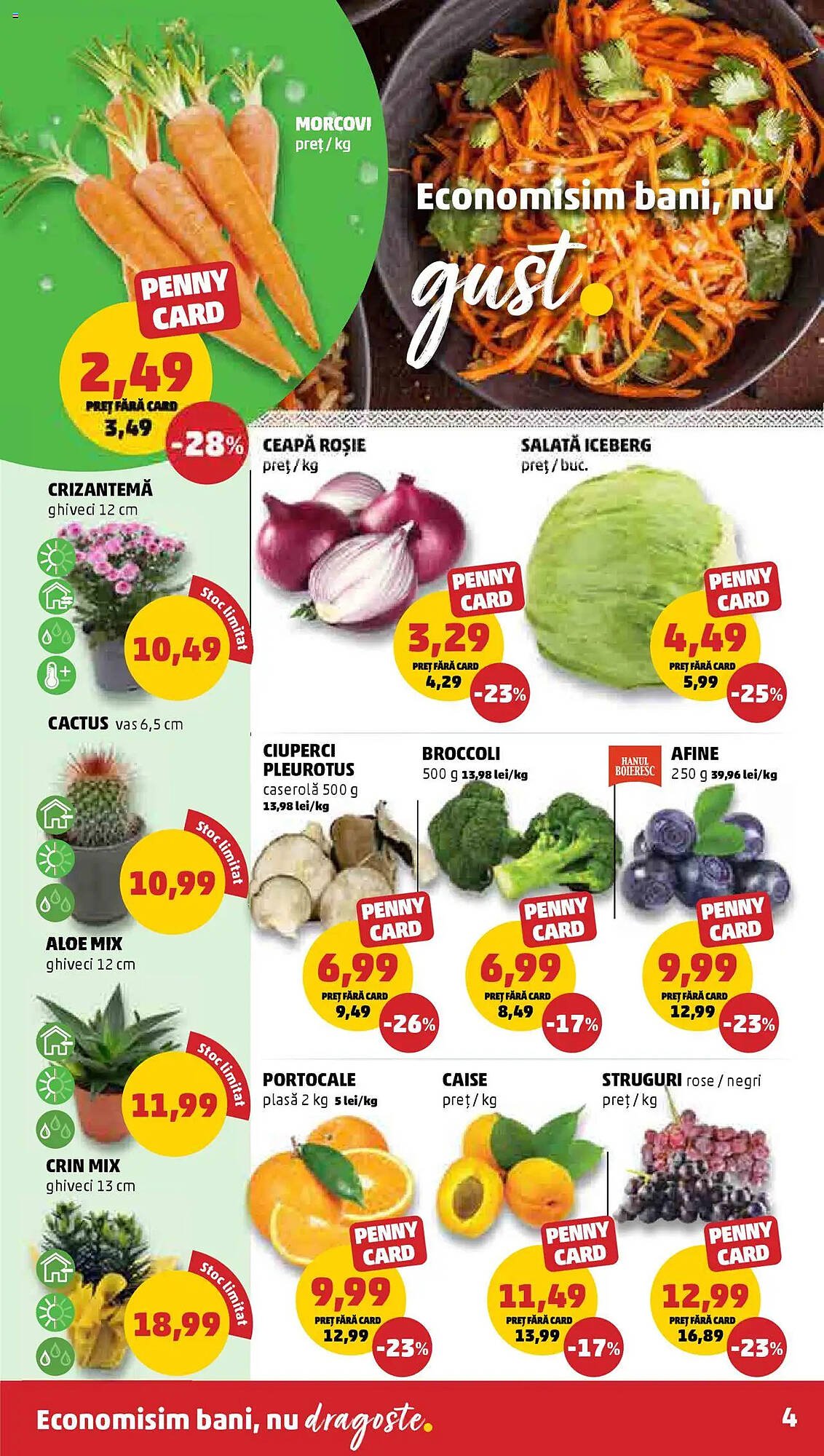 Catalog Penny