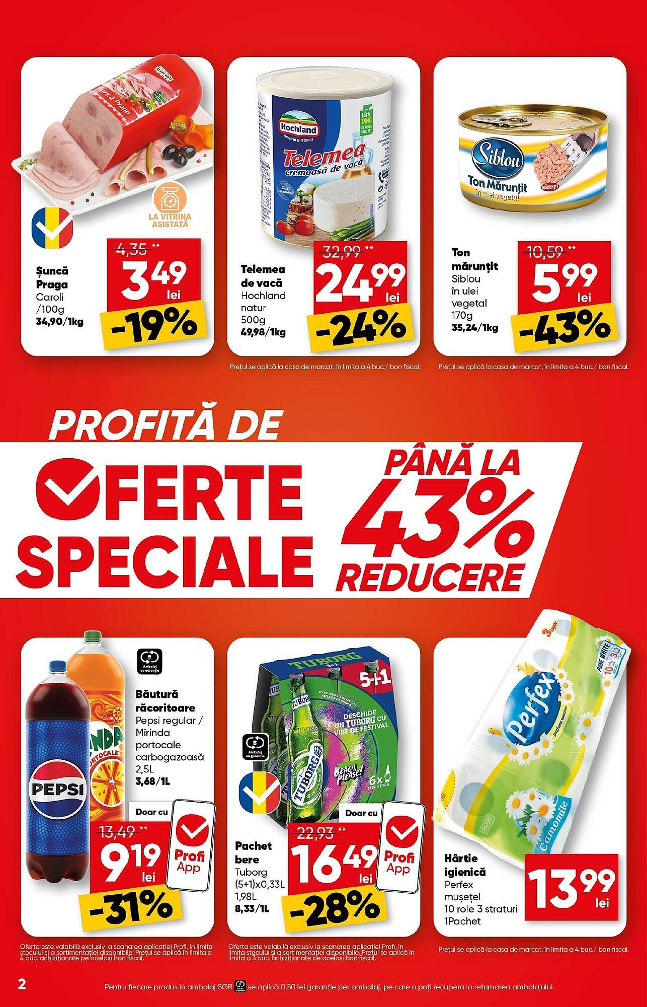 Catalog PROFI