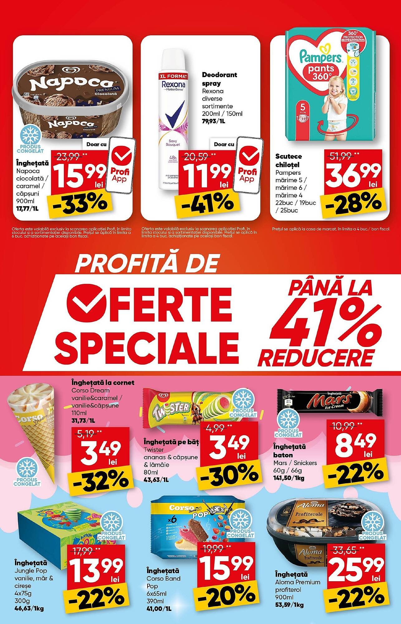 Catalog PROFI