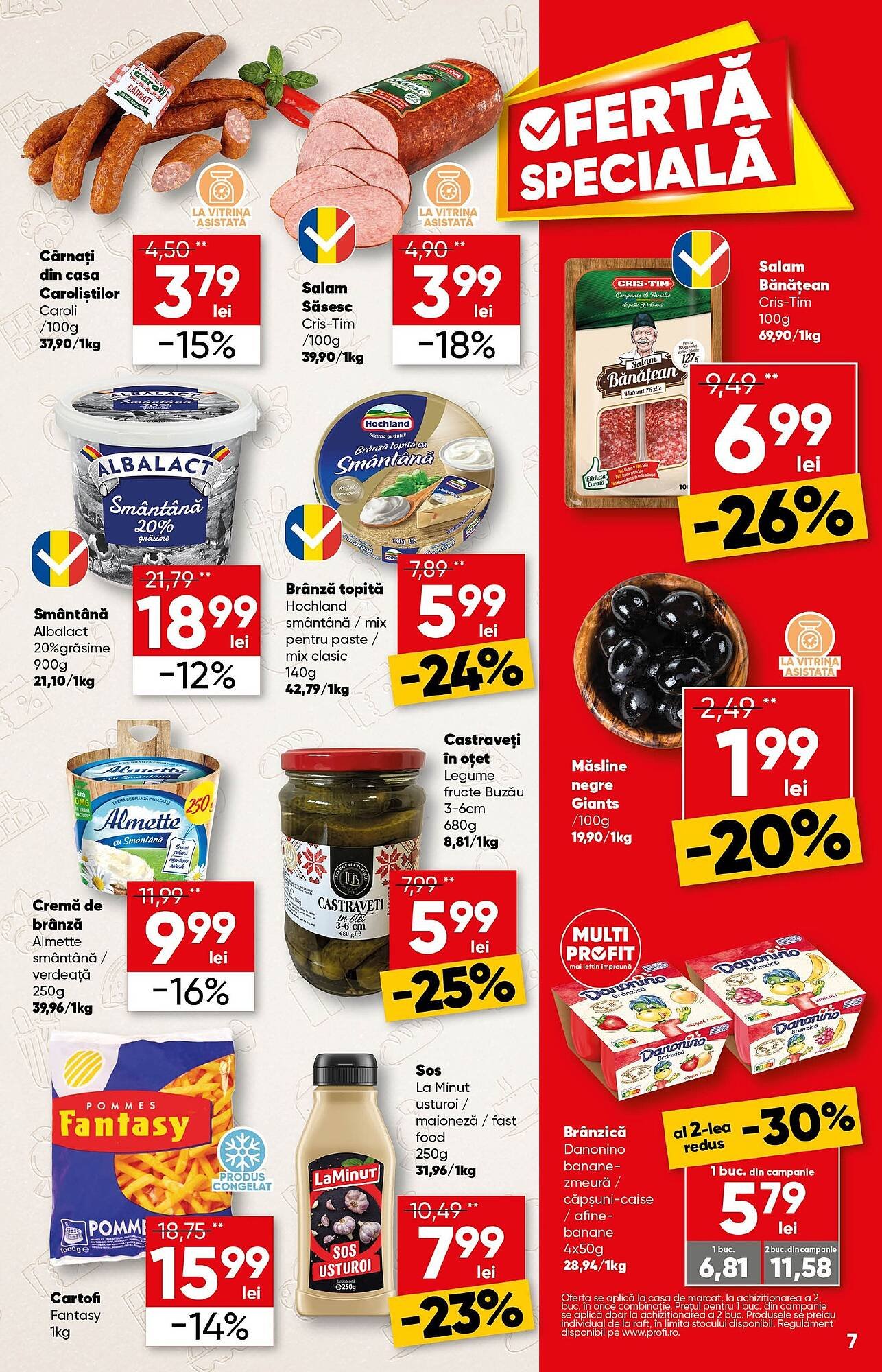 Catalog PROFI