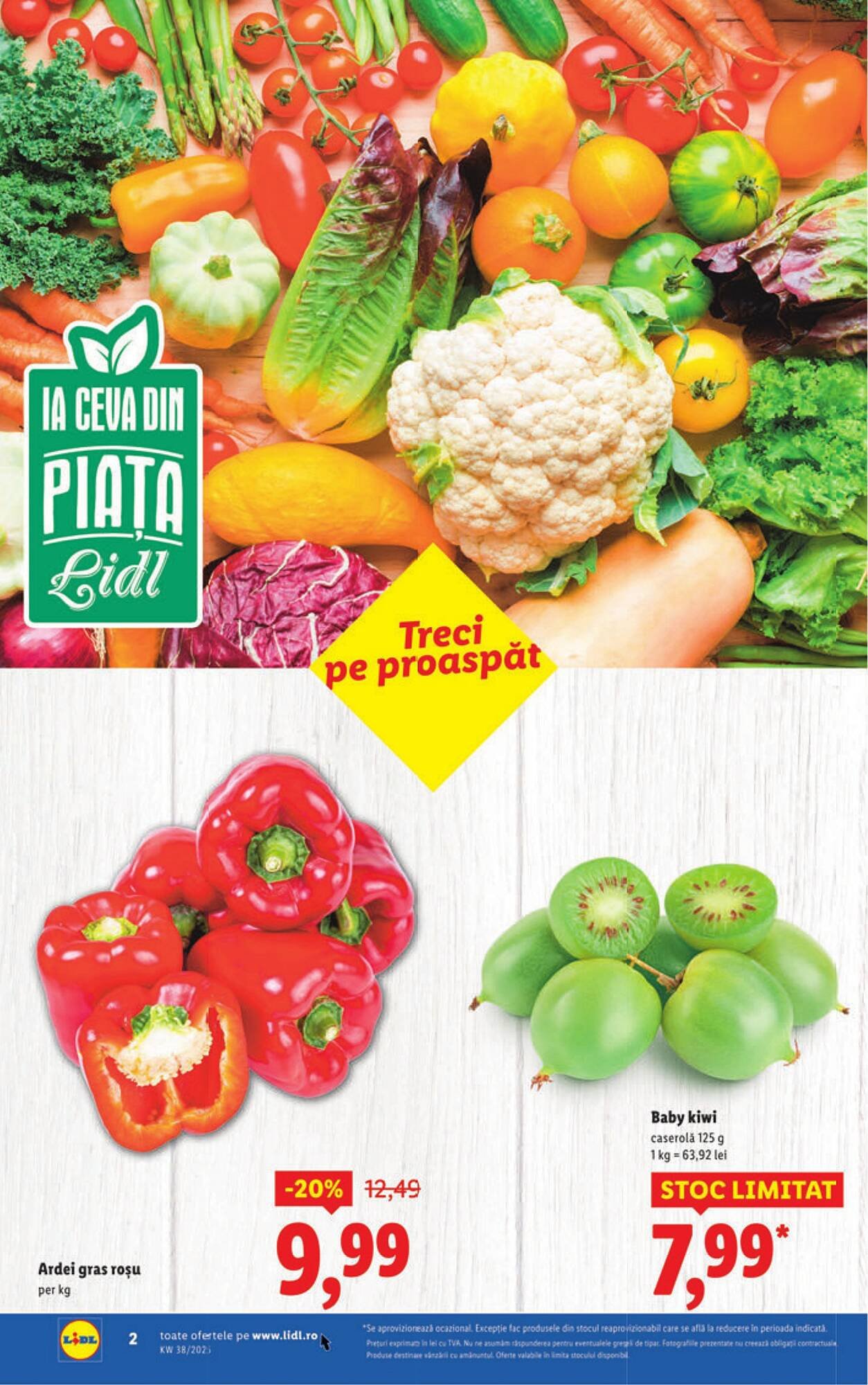 Catalog Lidl