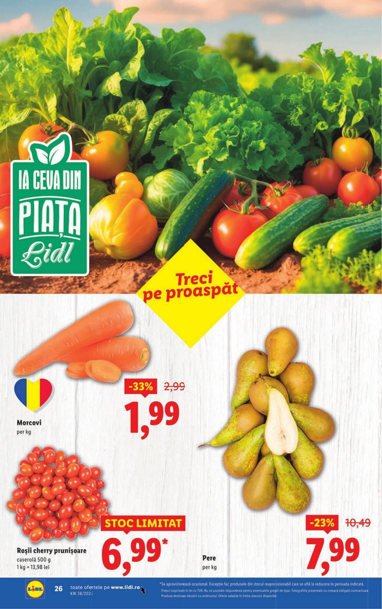 Catalog Lidl