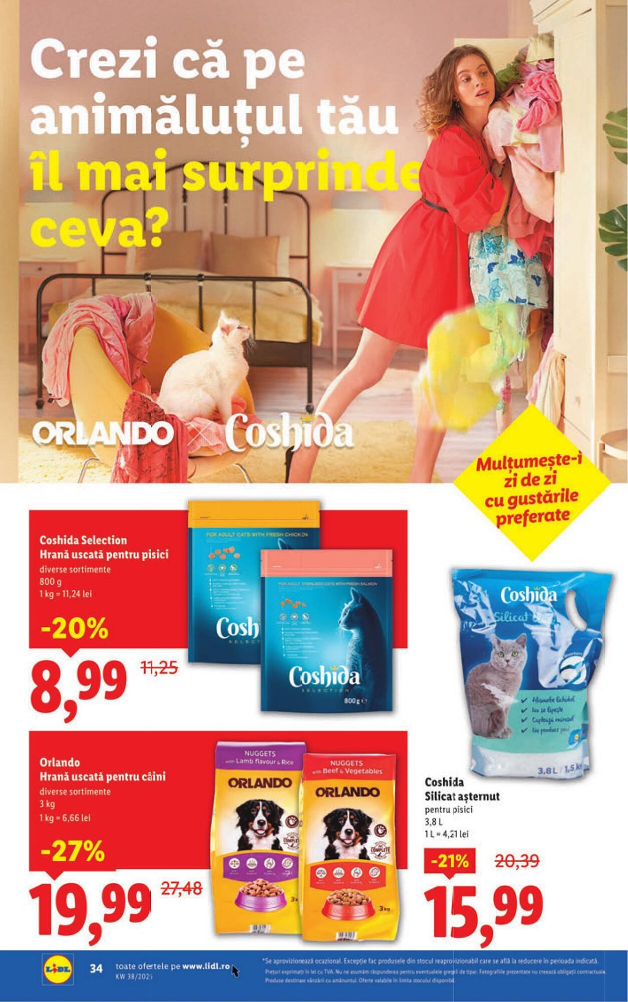 Catalog Lidl