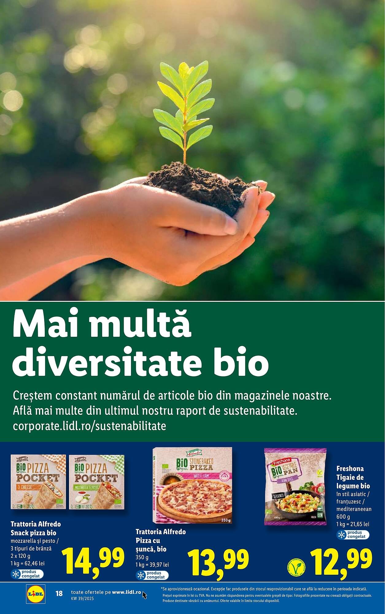 Catalog Lidl