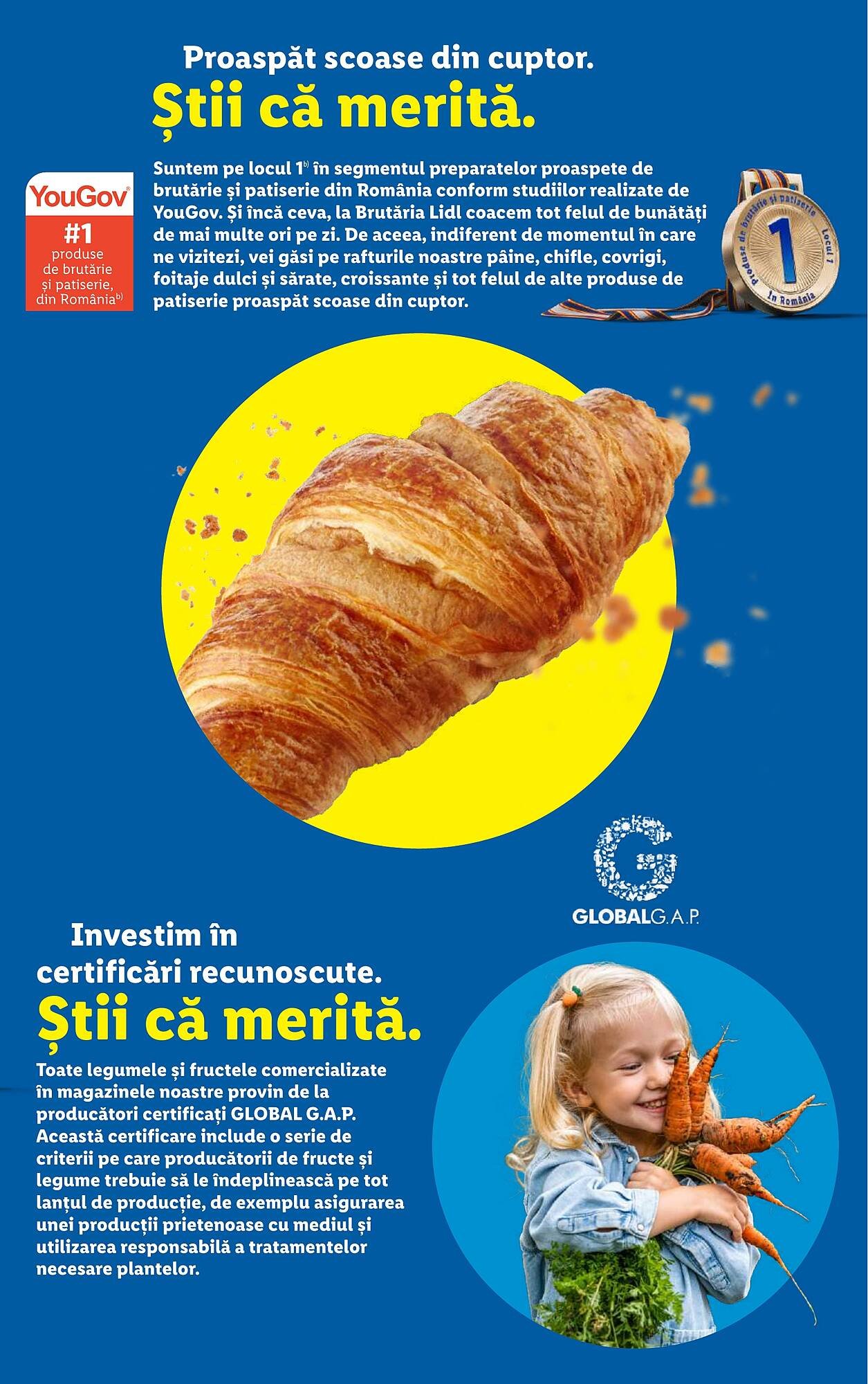 Catalog Lidl