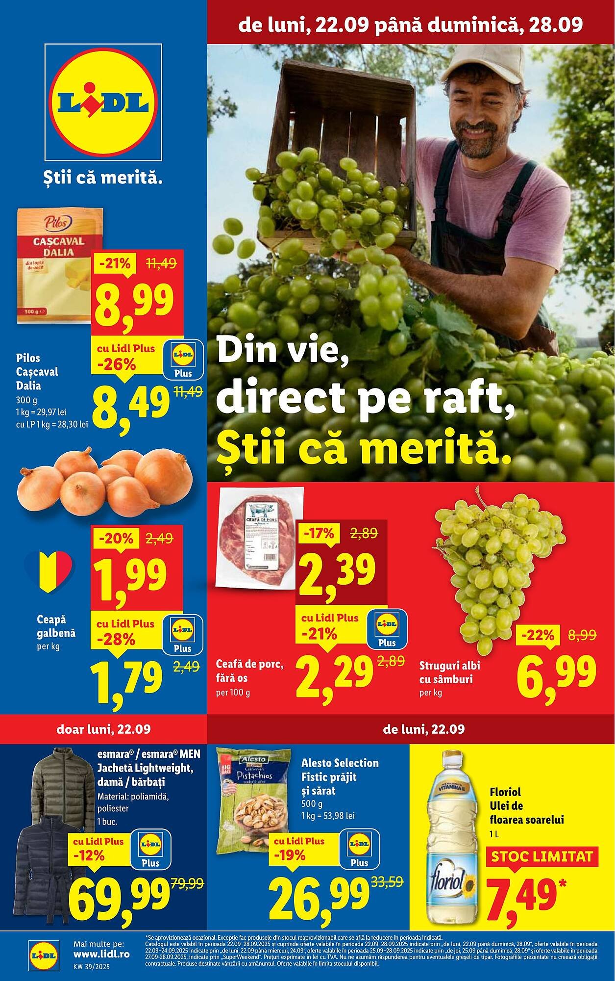 Catalog Lidl