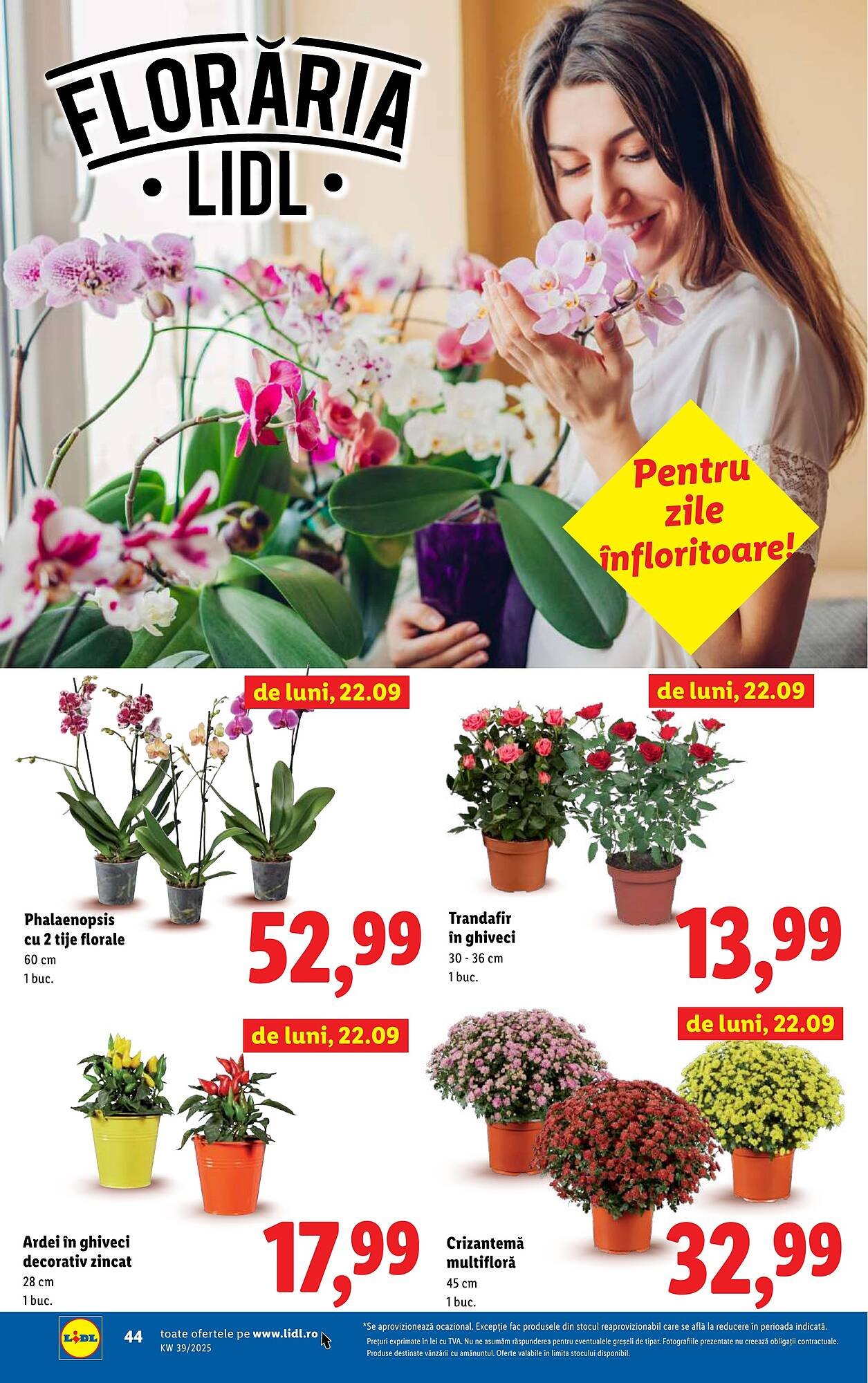Catalog Lidl