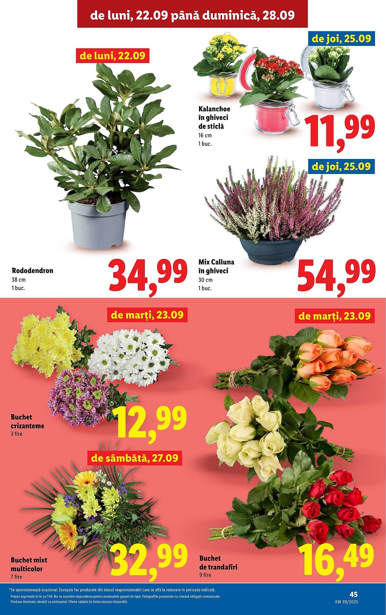 Catalog Lidl