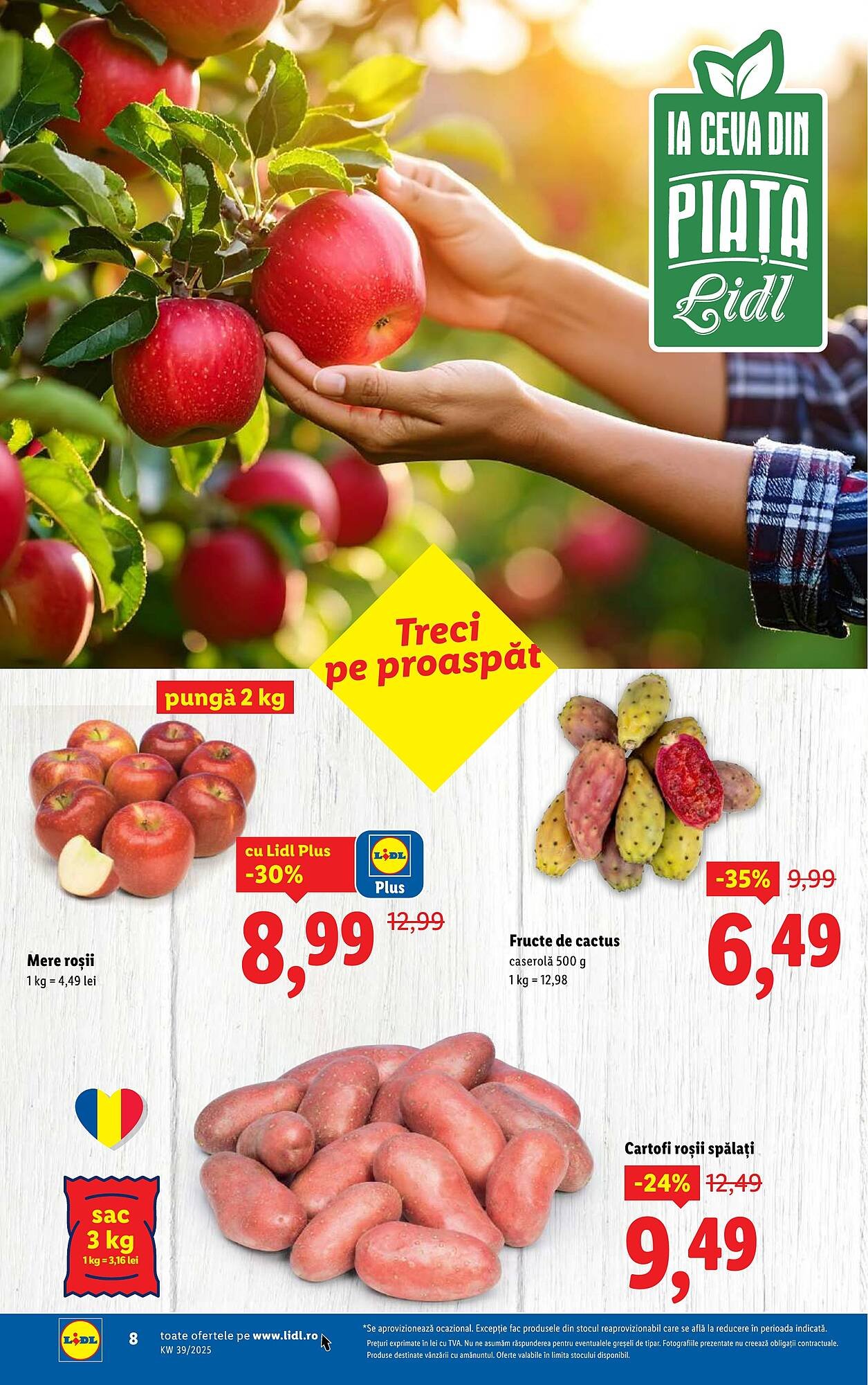 Catalog Lidl