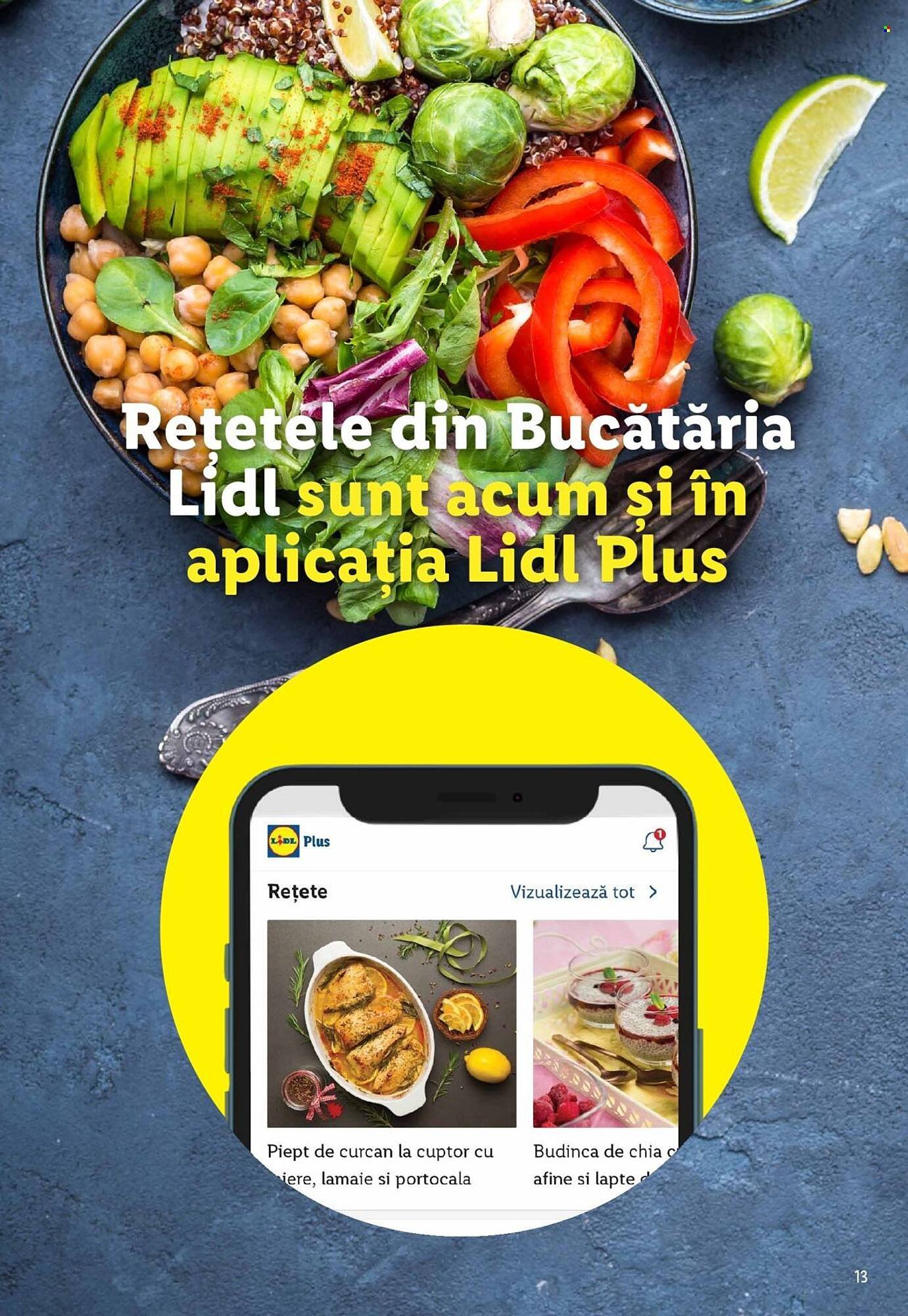 Catalog Lidl