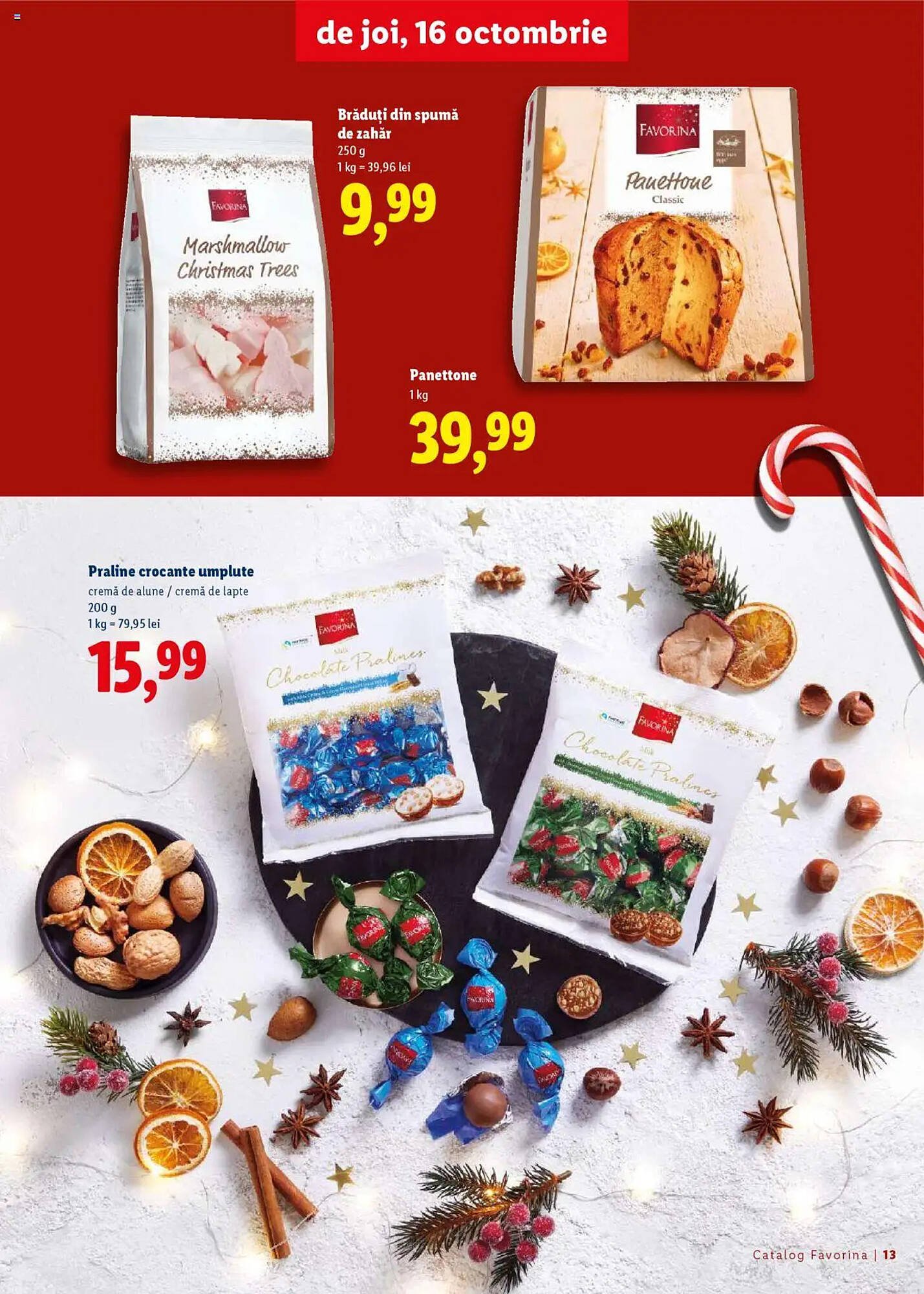 Catalog Lidl