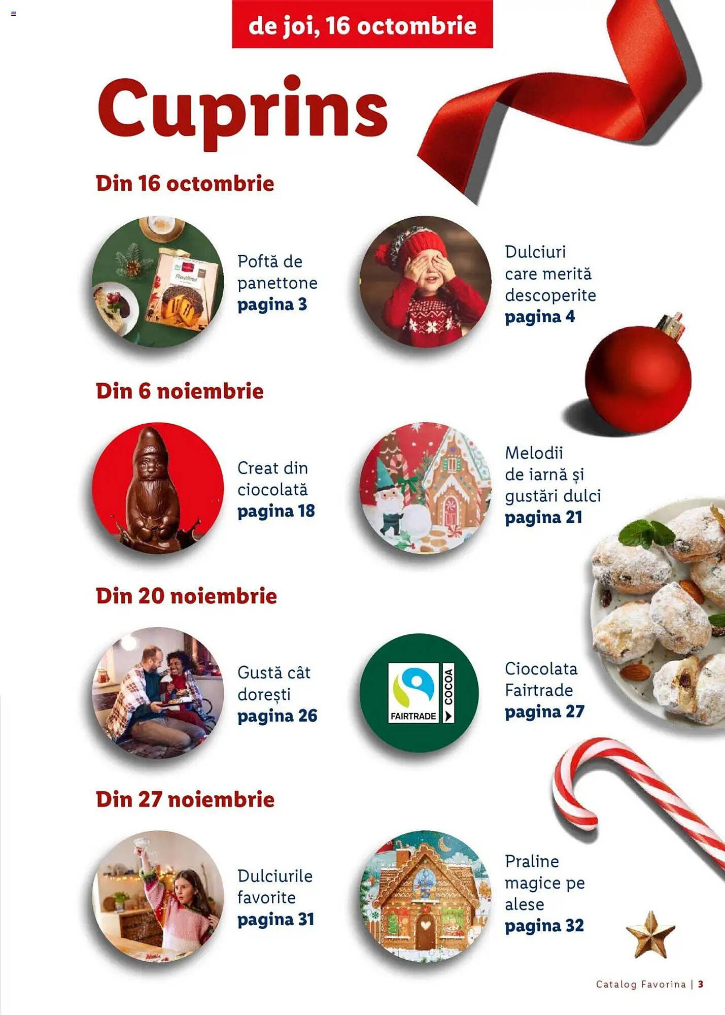 Catalog Lidl