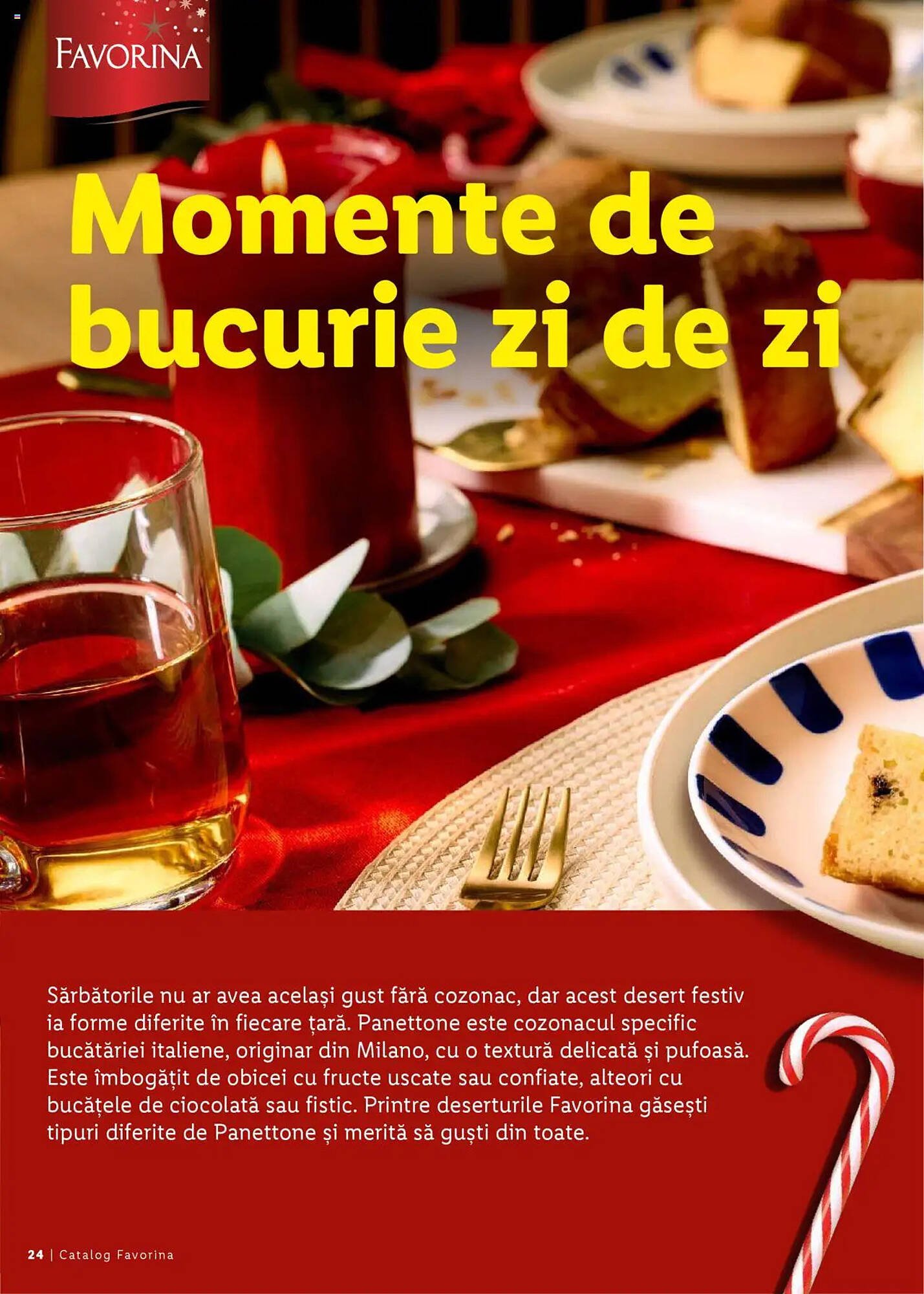 Catalog Lidl