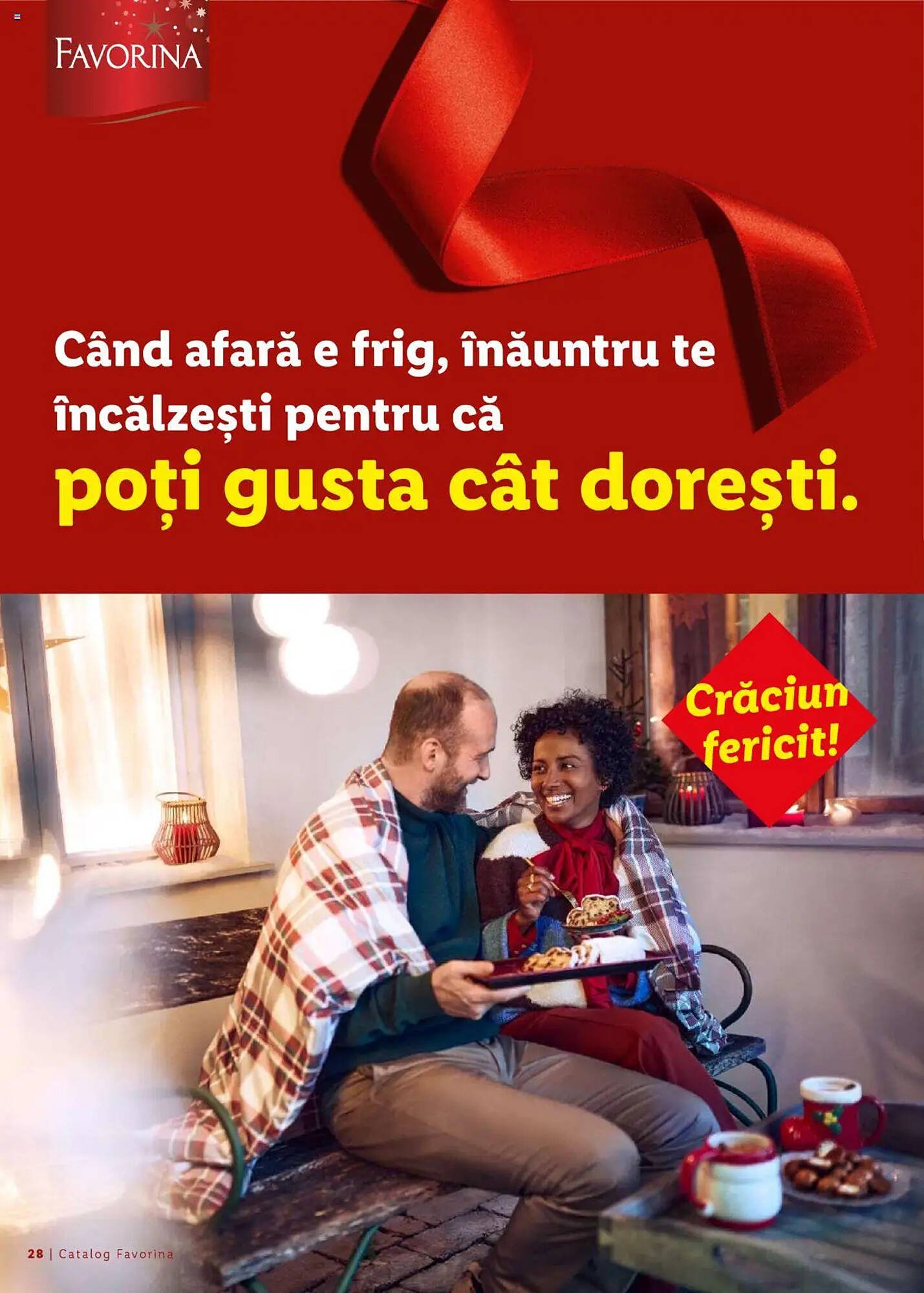 Catalog Lidl