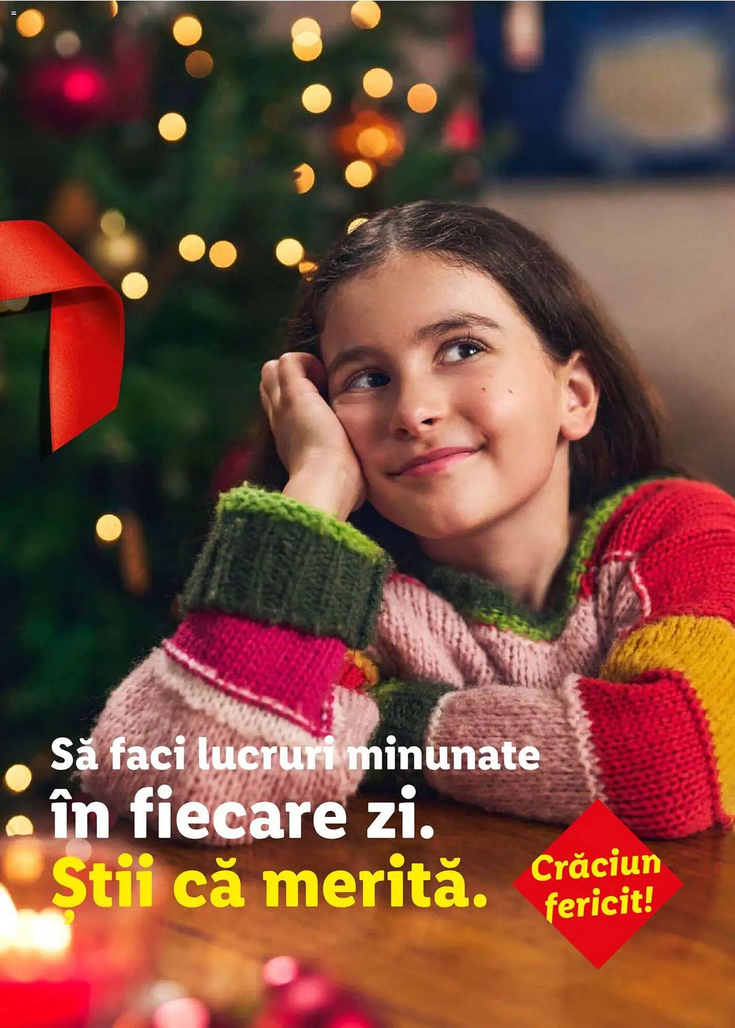 Catalog Lidl