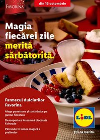 Catalog Lidl