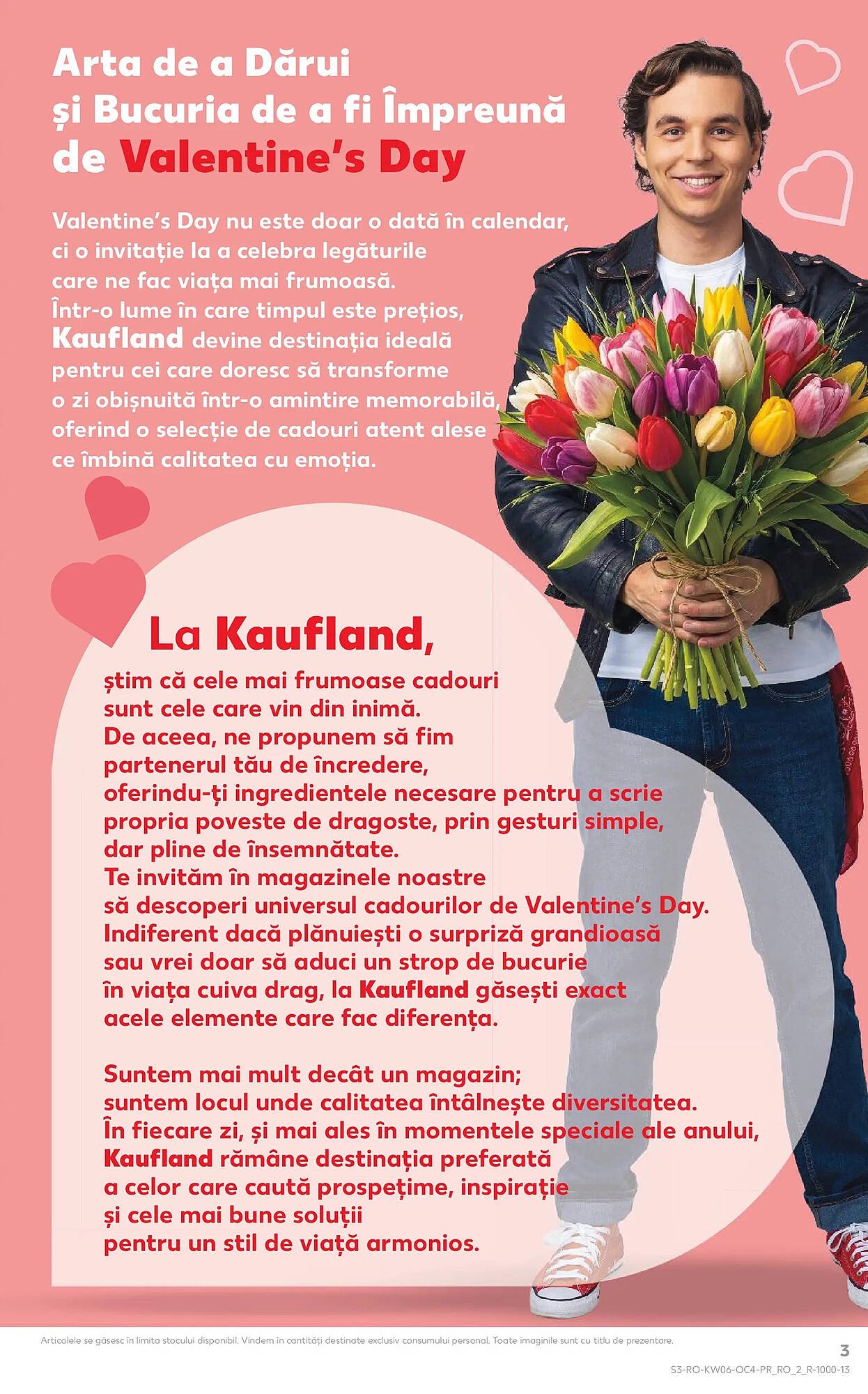Catalog Kaufland