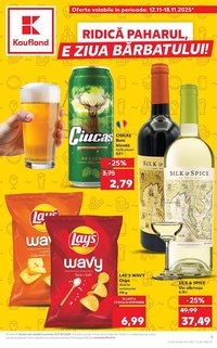Catalog Kaufland
