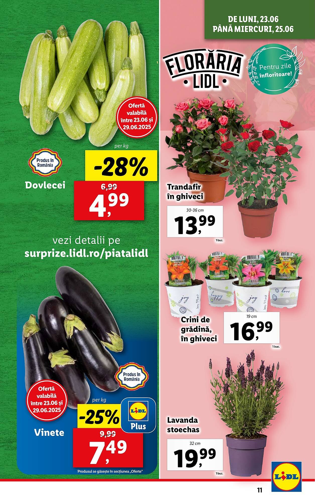 Catalog Lidl