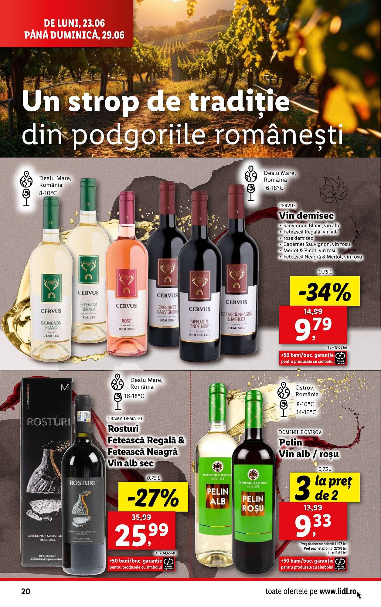 Catalog Lidl