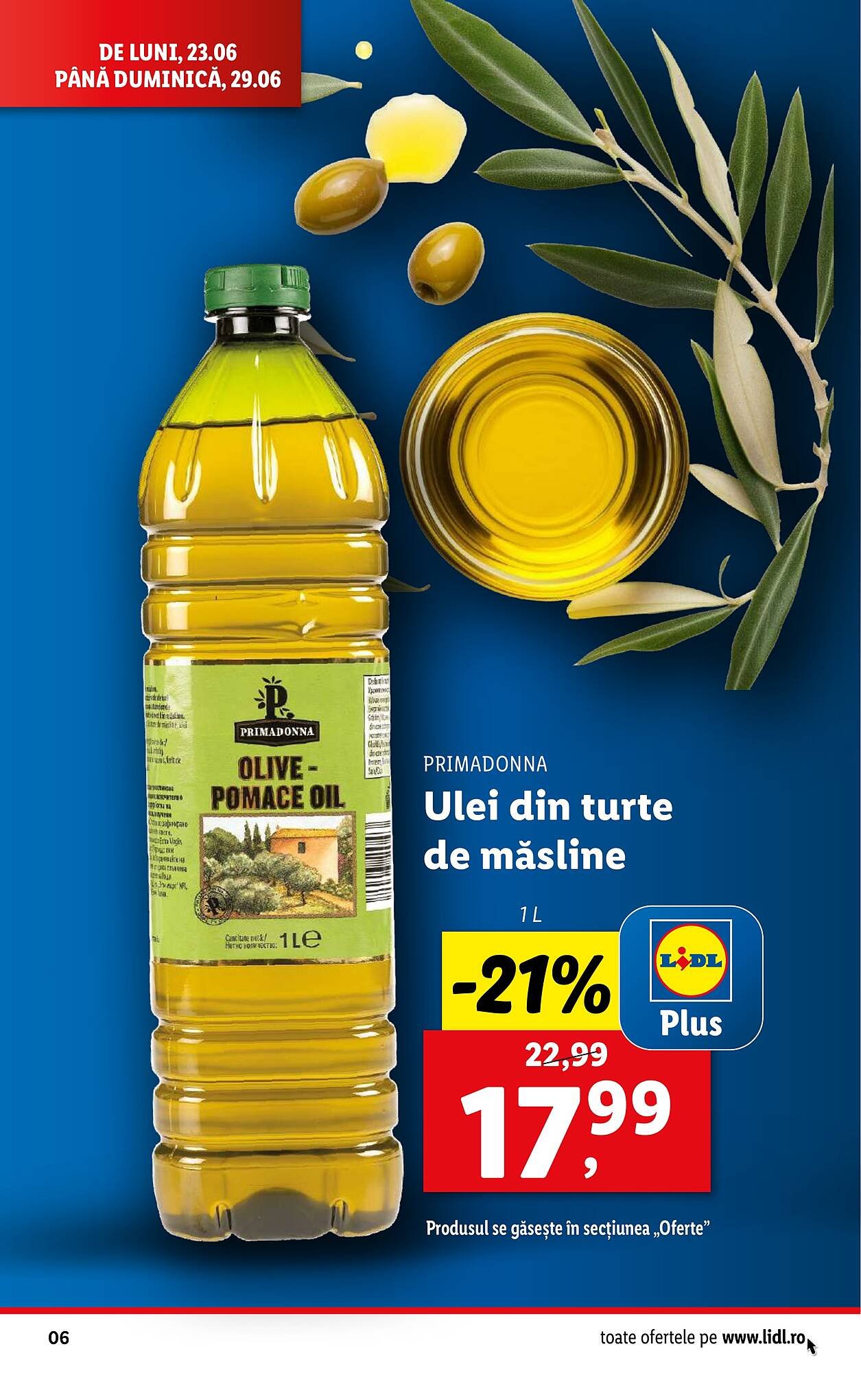 Catalog Lidl