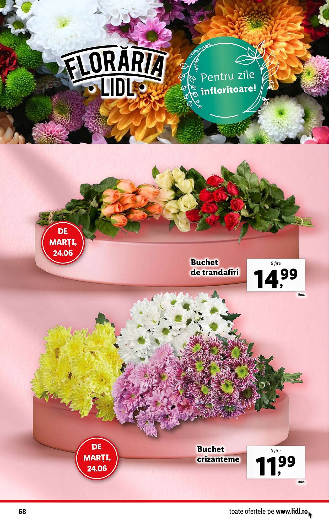 Catalog Lidl