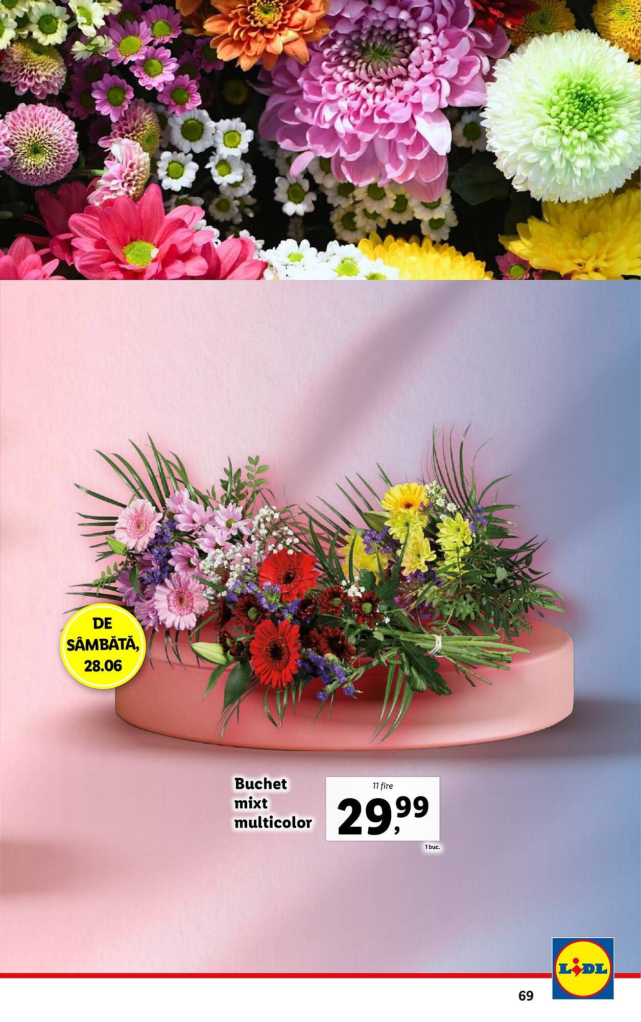 Catalog Lidl