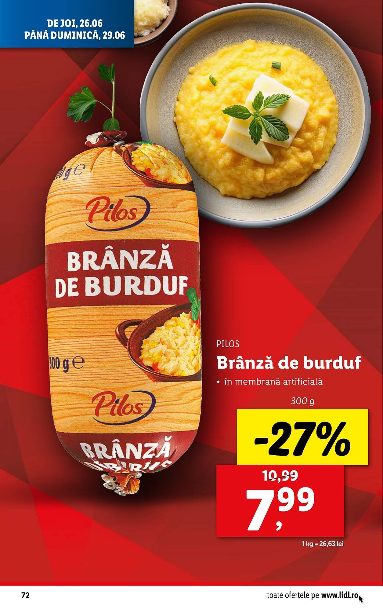 Catalog Lidl