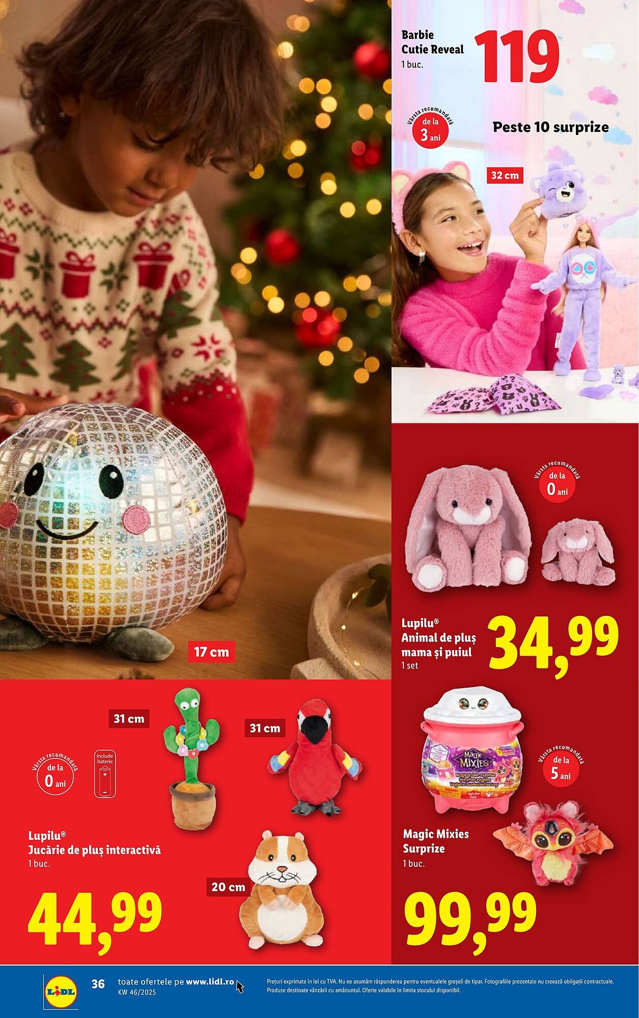 Catalog Lidl