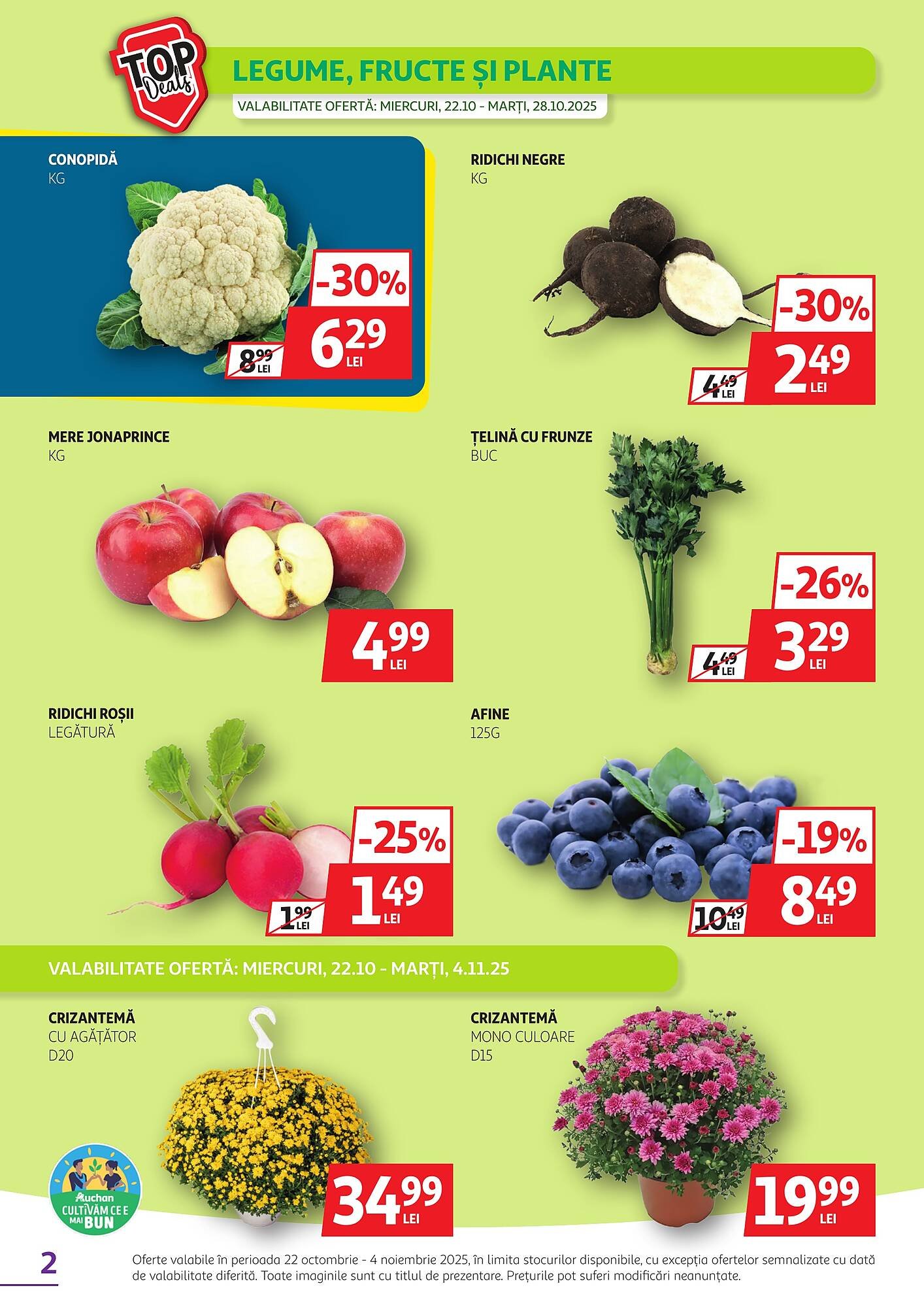 Catalog Auchan