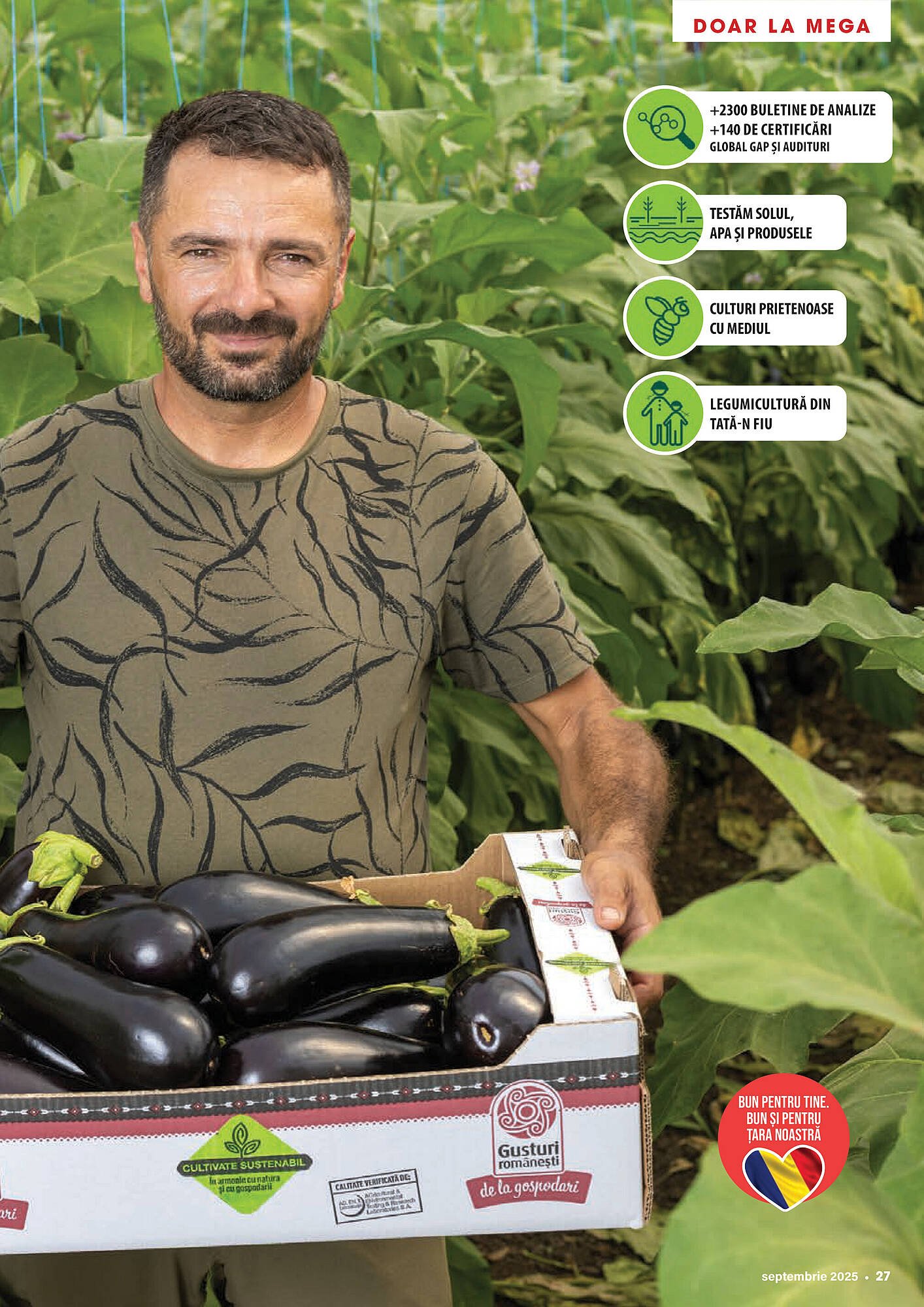 Catalog Mega Image