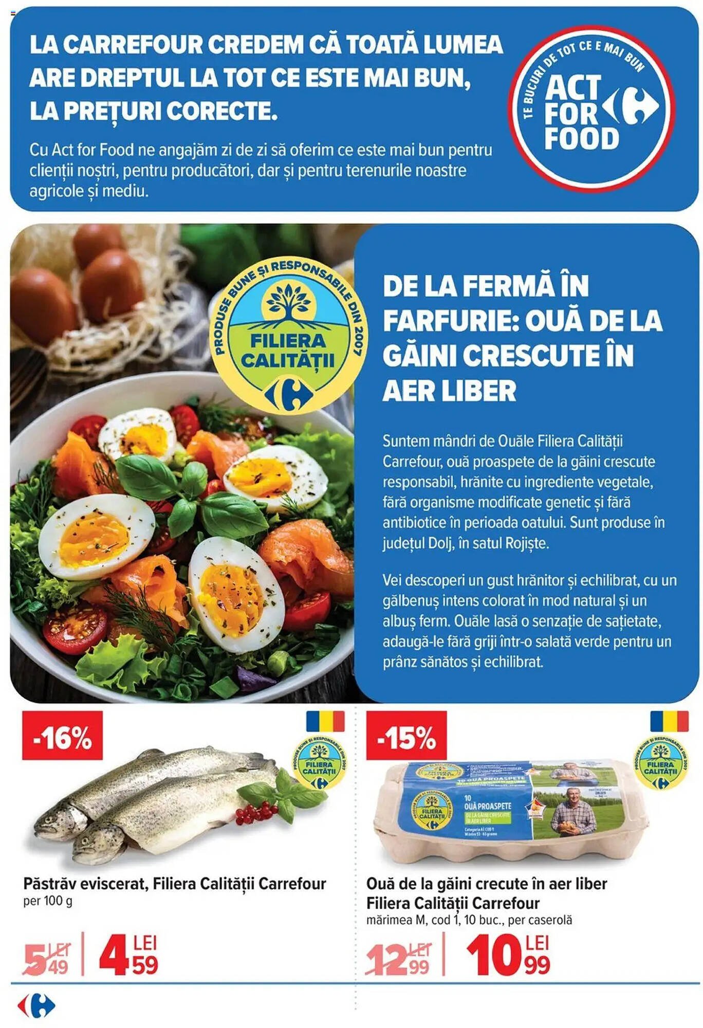 Catalog Carrefour