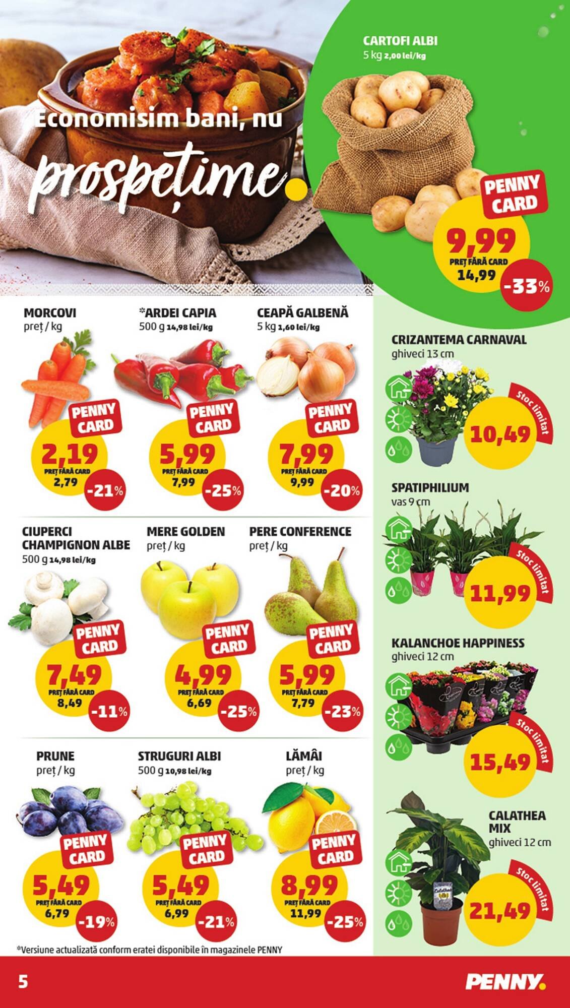 Catalog Penny