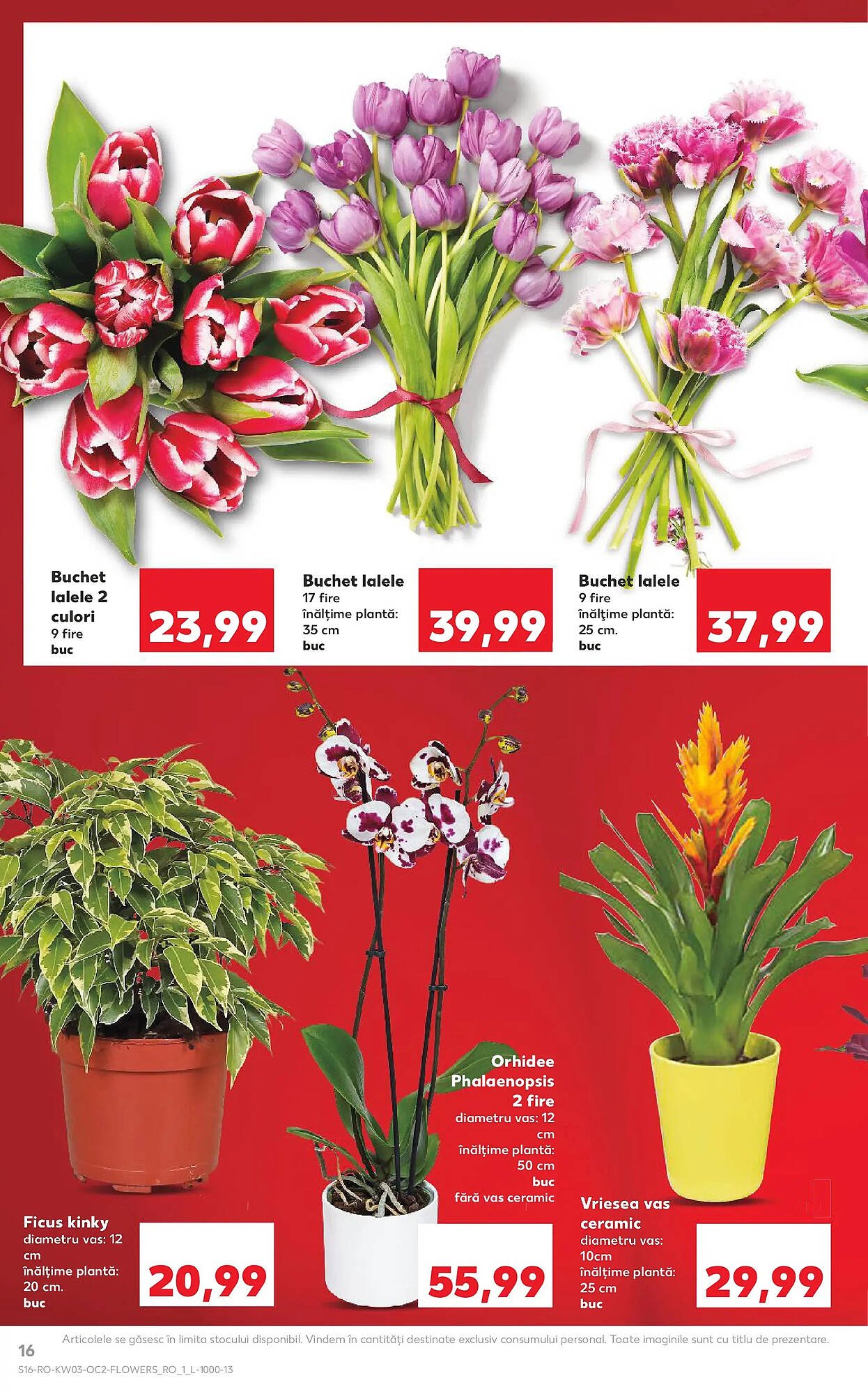 Catalog Kaufland