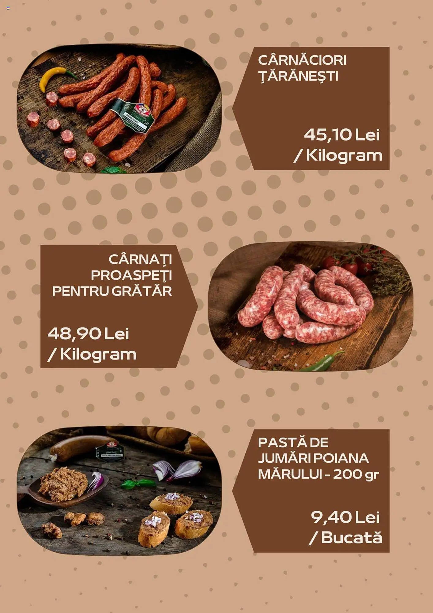 Catalog Sergiana Grup
