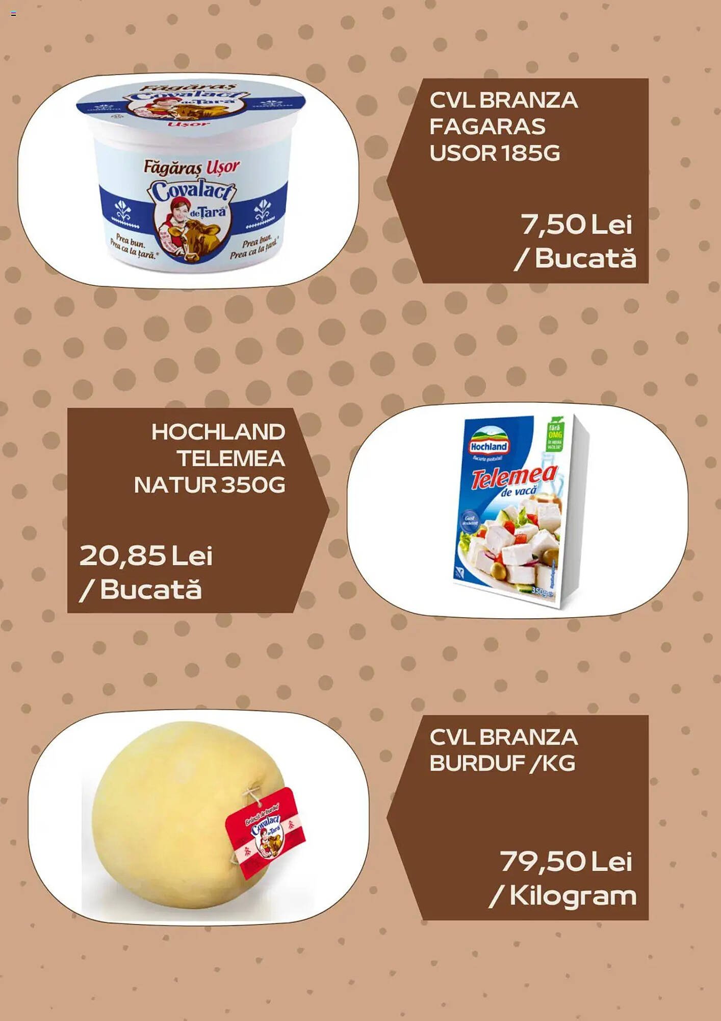 Catalog Sergiana Grup