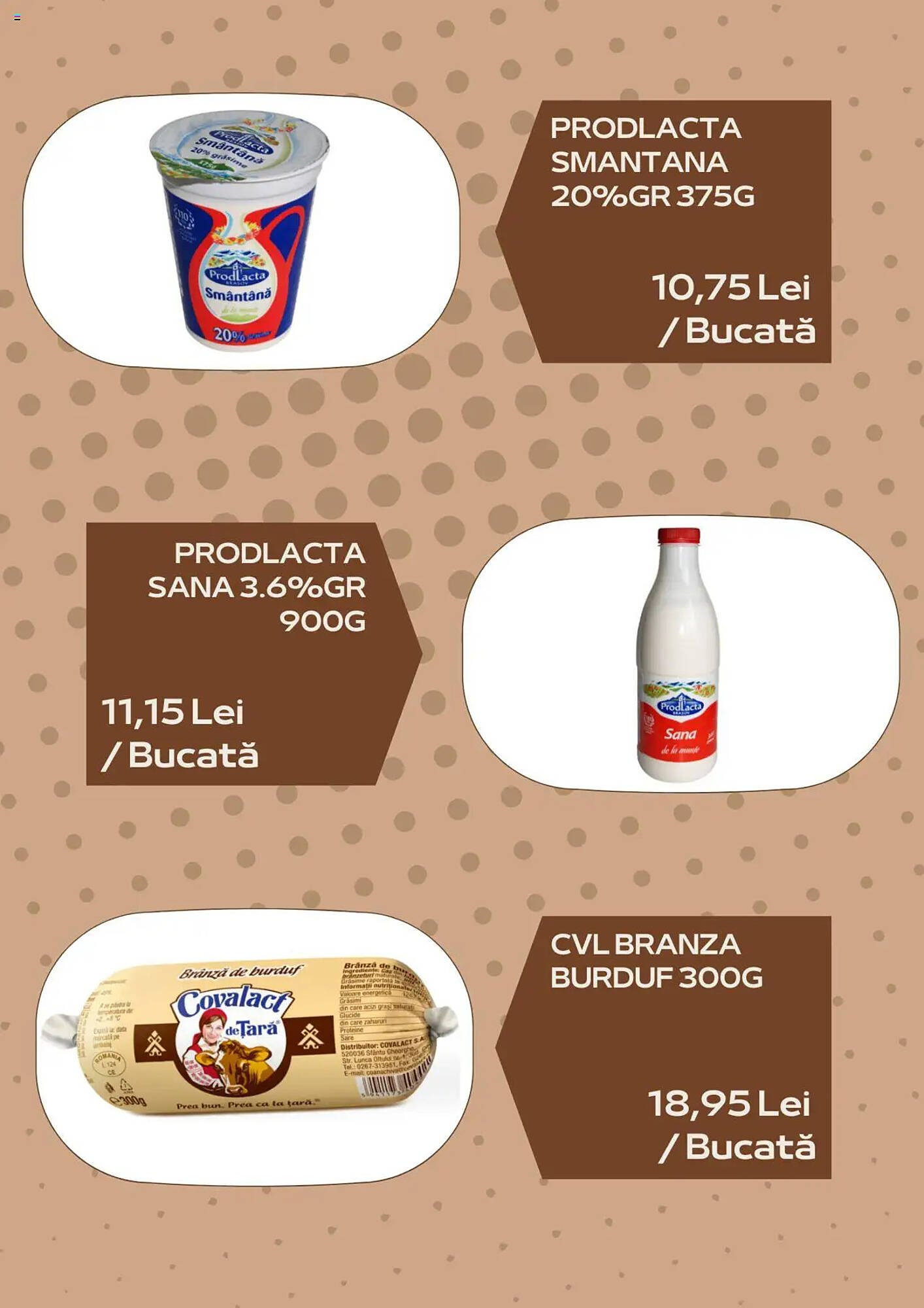 Catalog Sergiana Grup